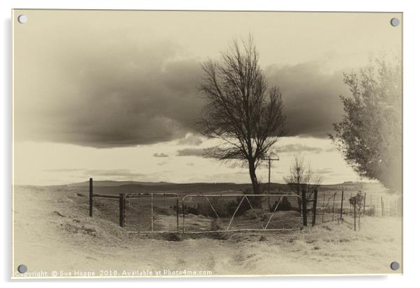 Nostalgic Farm Gate in winter Acrylic by Sue Hoppe