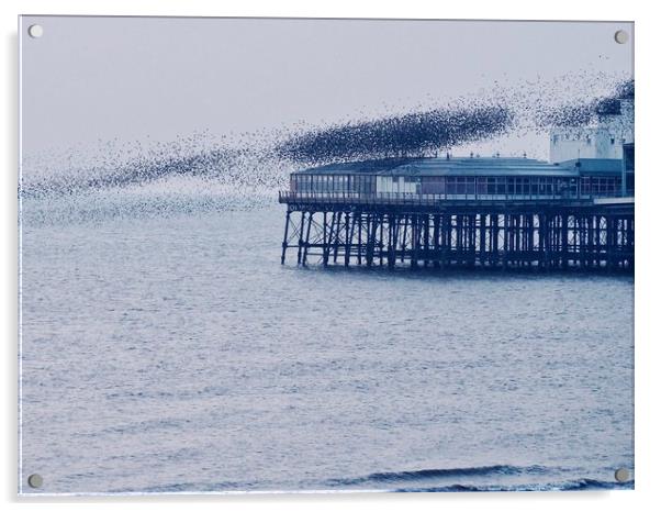 Starlings off North Pier                           Acrylic by Victor Burnside
