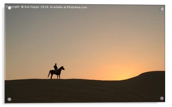 Arabian Horse with desert sunset Acrylic by Sue Hoppe