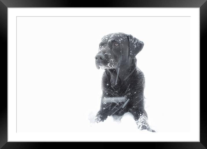 Black and white Framed Mounted Print by Simon Wrigglesworth