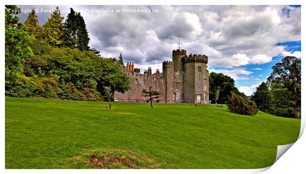 Balloch Castle Country Park Print by Peter Gaeng