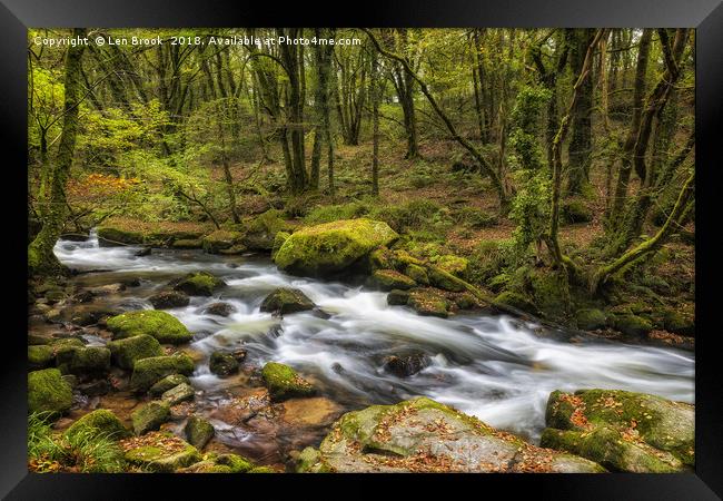 The Golitha Falls, Cornwall Framed Print by Len Brook