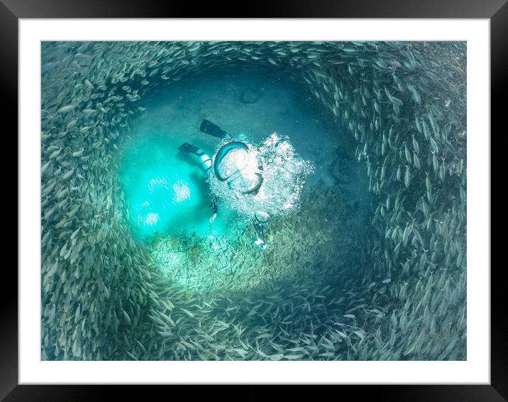   Swimming with fish and turtles Curacao views  Framed Mounted Print by Gail Johnson