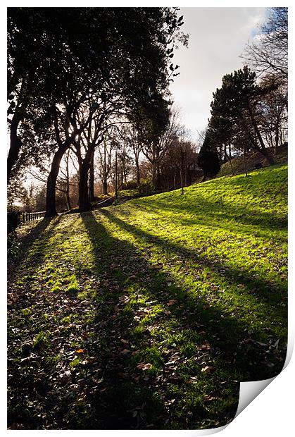 Sloping shadows Print by Stephen Mole