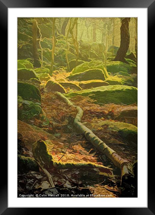 Morning Light Framed Mounted Print by Colin Metcalf