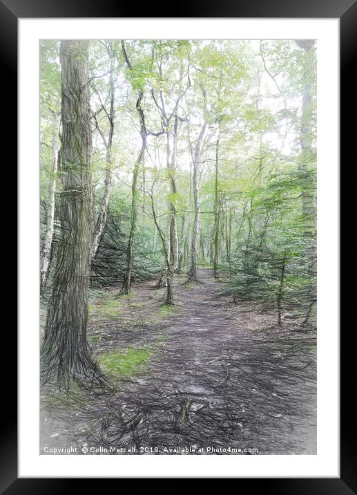 Woodland Walk Framed Mounted Print by Colin Metcalf