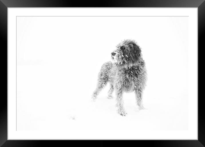 All black and white Framed Mounted Print by Simon Wrigglesworth