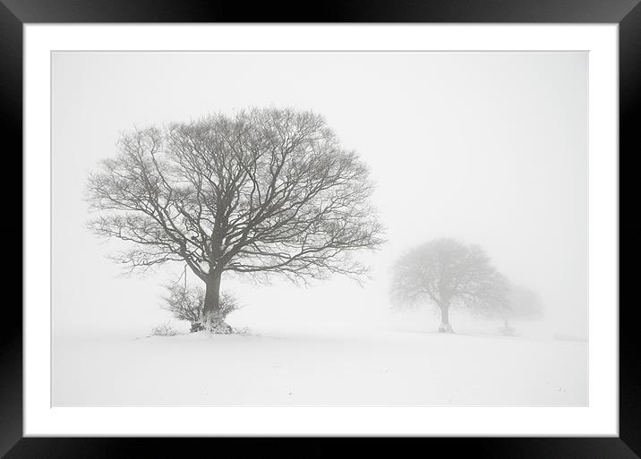 Three trees Framed Mounted Print by Pete Hemington