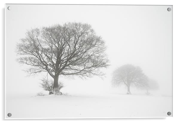 Three trees Acrylic by Pete Hemington