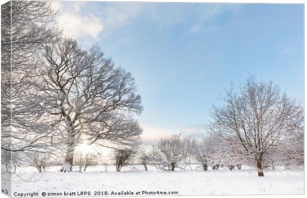Snow covered tree line with early morning sunrise Canvas Print by Simon Bratt LRPS