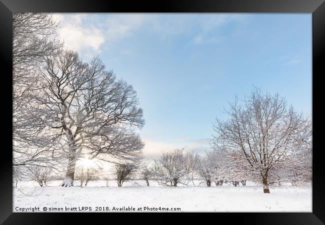 Snow covered tree line with early morning sunrise Framed Print by Simon Bratt LRPS