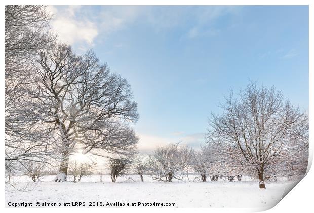 Snow covered tree line with early morning sunrise Print by Simon Bratt LRPS
