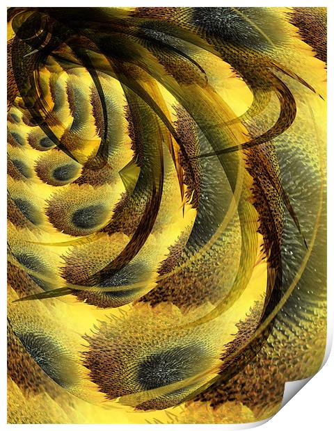 bee & sunflower Print by Heather Newton