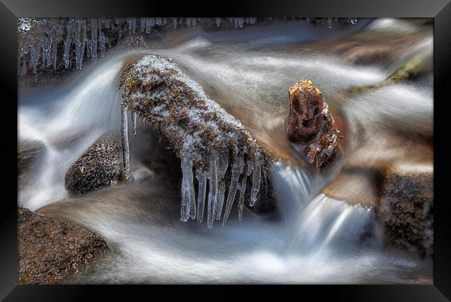 Icicles in a stream Framed Print by Leighton Collins