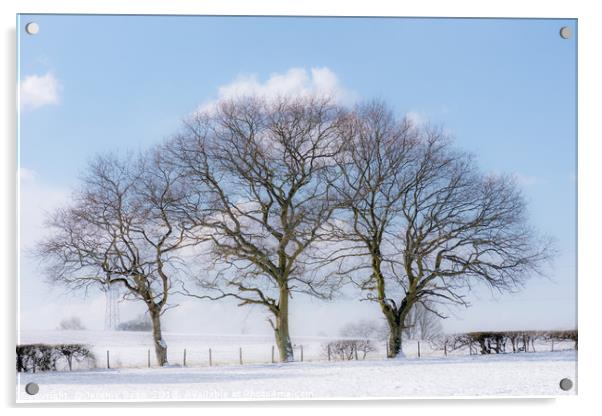 Majestic Winter Wonderland Acrylic by Jeremy Sage