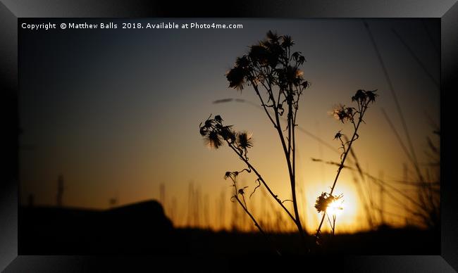                    A Lovely Silhouette             Framed Print by Matthew Balls