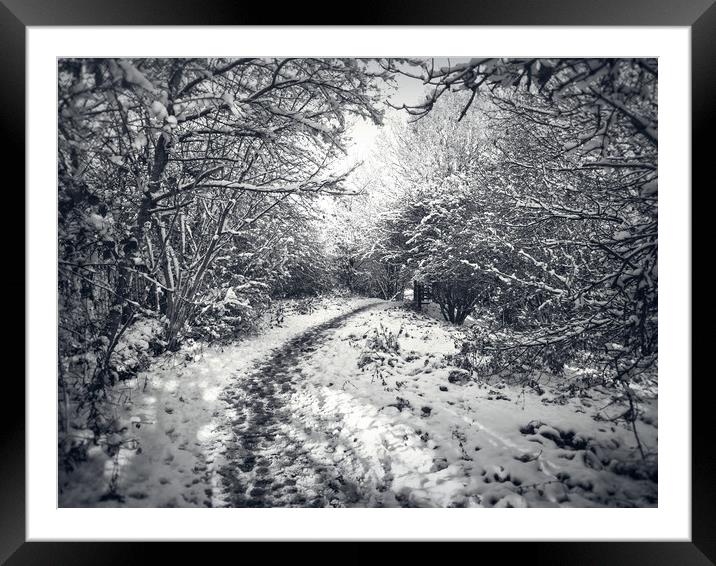 Snow Path Framed Mounted Print by Purple OneTwoEight