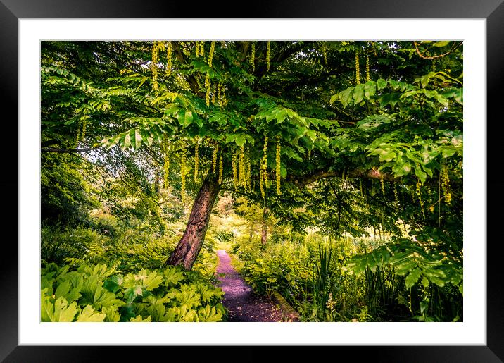 Lets go for a walk....... Framed Mounted Print by Naylor's Photography