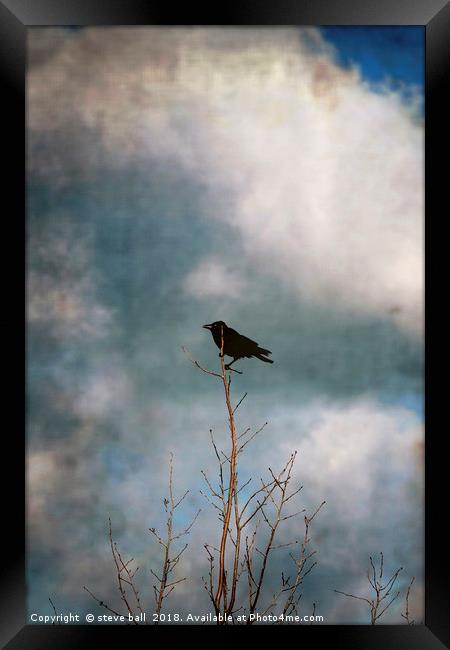 Crow Tree Framed Print by steve ball
