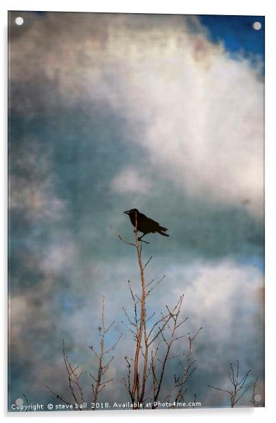 Crow Tree Acrylic by steve ball