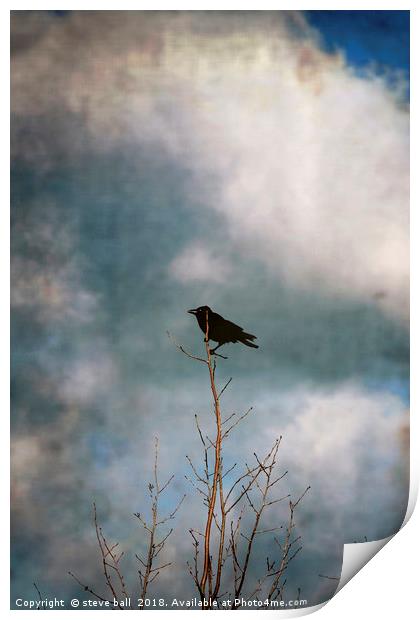 Crow Tree Print by steve ball