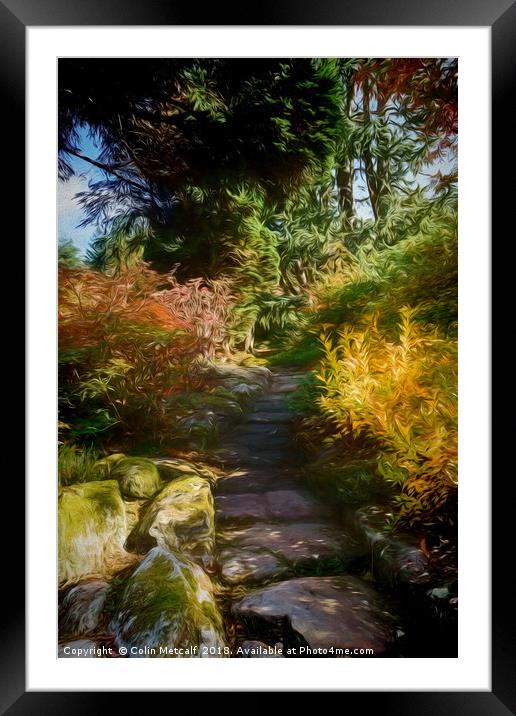 Rocky Path Framed Mounted Print by Colin Metcalf