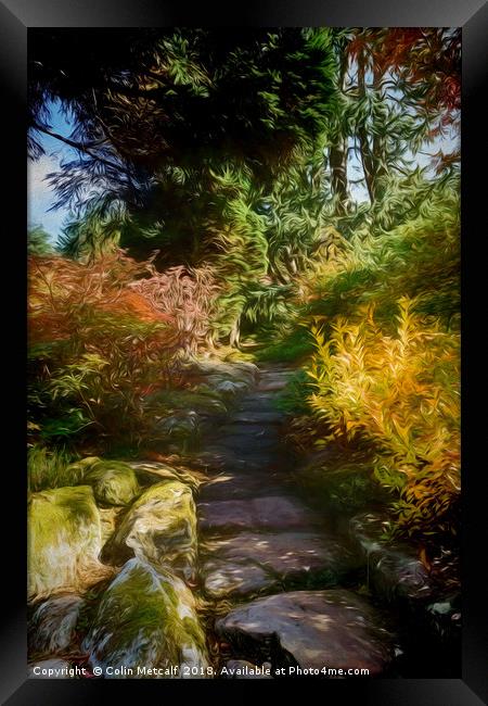 Rocky Path Framed Print by Colin Metcalf