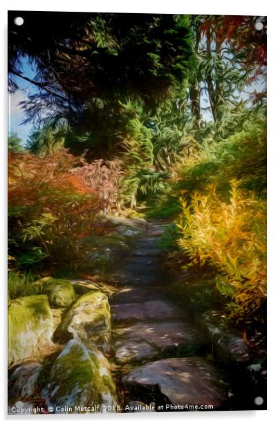 Rocky Path Acrylic by Colin Metcalf