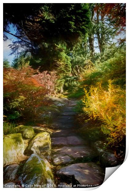 Rocky Path Print by Colin Metcalf