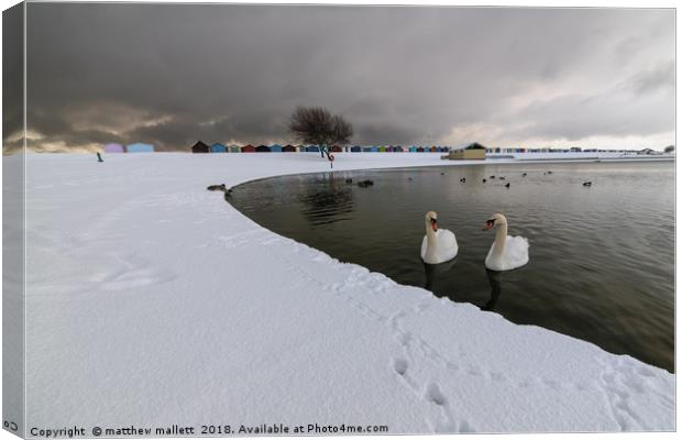 Harwich Swans And Snow Canvas Print by matthew  mallett