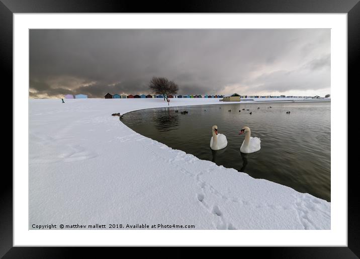 Harwich Swans And Snow Framed Mounted Print by matthew  mallett