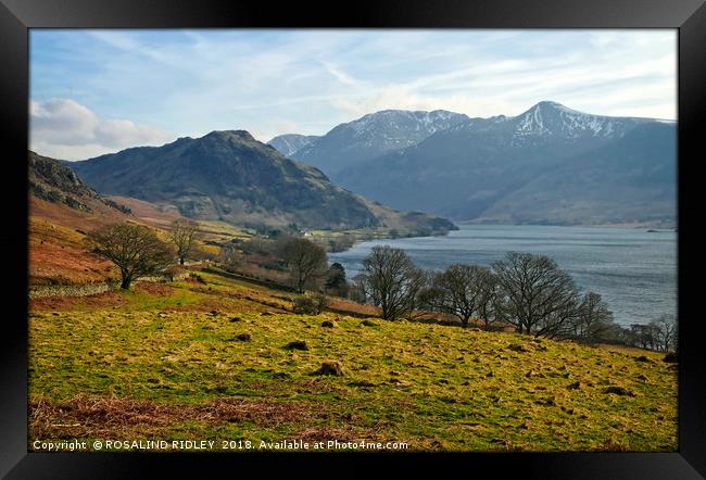 "Late afternoon across Crummock Water" Framed Print by ROS RIDLEY