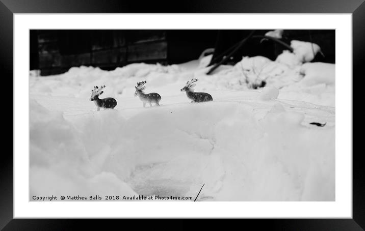 Small Miniature Deer in the Snow Framed Mounted Print by Matthew Balls