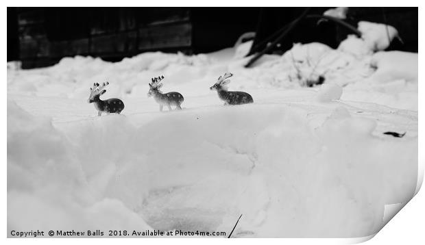 Small Miniature Deer in the Snow Print by Matthew Balls