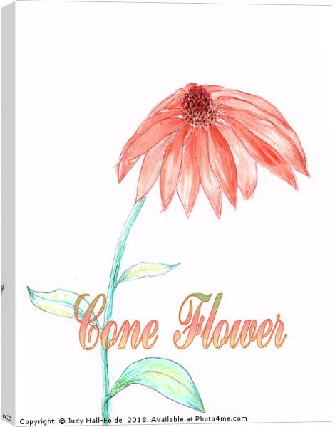 Cone Flower Canvas Print by Judy Hall-Folde