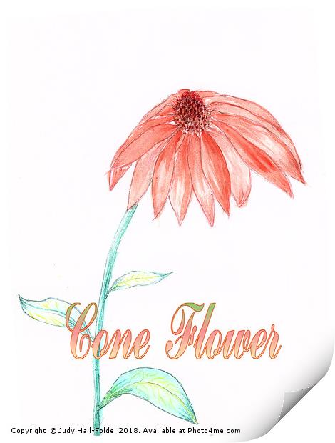 Cone Flower Print by Judy Hall-Folde