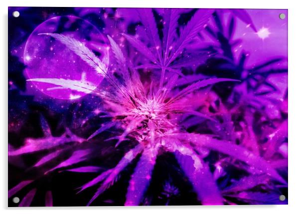 Purple Fantasy Bud Acrylic by Erin Hayes