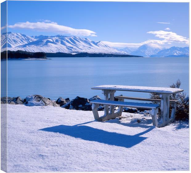 Lake Pukaki, Picnic Area with Mount Cook Canvas Print by Maggie McCall