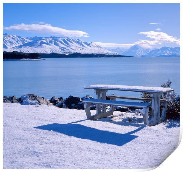 Lake Pukaki, Picnic Area with Mount Cook Print by Maggie McCall