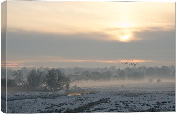 Icy Meadow Canvas Print by Robert Geldard