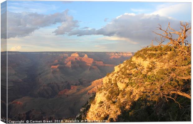 Sunset over the Grand Canyon Canvas Print by Carmen Green