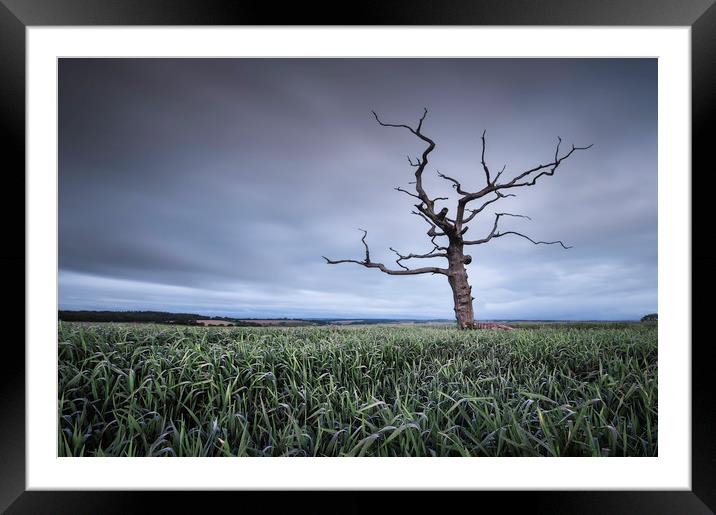 Old & Lonely Framed Mounted Print by Chris Frost