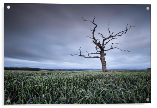 Old & Lonely Acrylic by Chris Frost