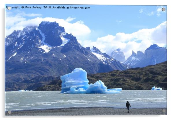 Icebergs at the Lake Grey in Torres del Paine Moun Acrylic by Mark Seleny