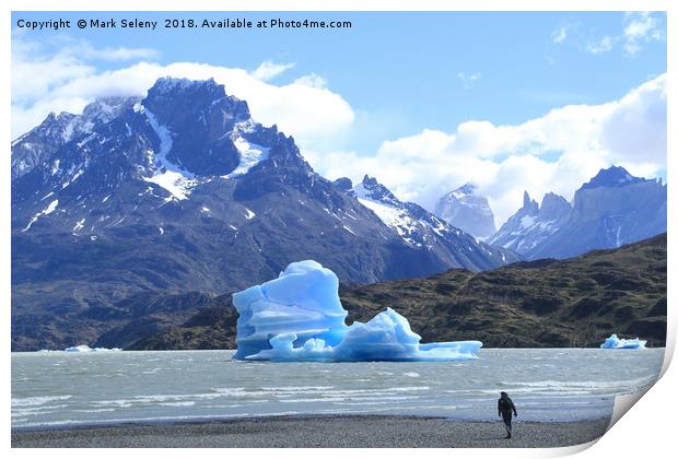 Icebergs at the Lake Grey in Torres del Paine Moun Print by Mark Seleny