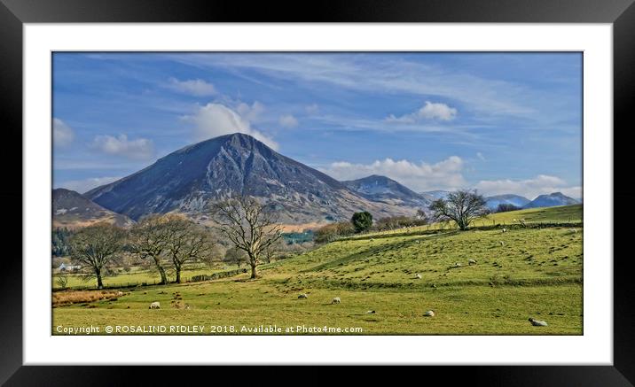 "Sunshine on the mountains 2" Framed Mounted Print by ROS RIDLEY