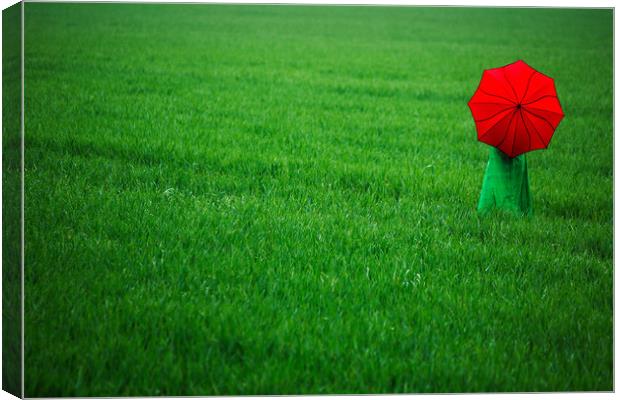 Red Umbrella in Green Field. Canvas Print by Maggie McCall