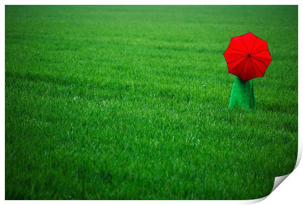 Red Umbrella in Green Field. Print by Maggie McCall