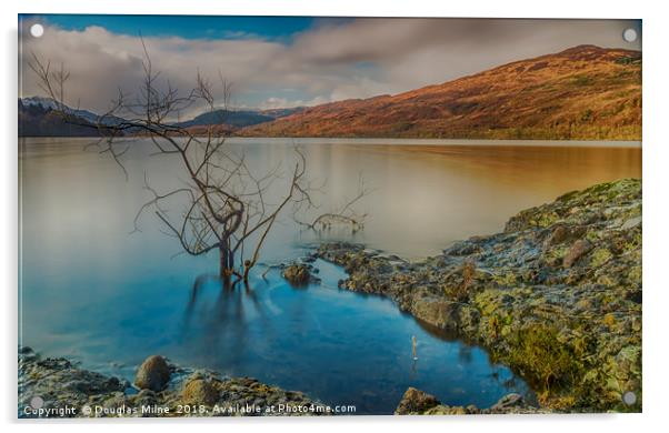 Loch Venachar Acrylic by Douglas Milne