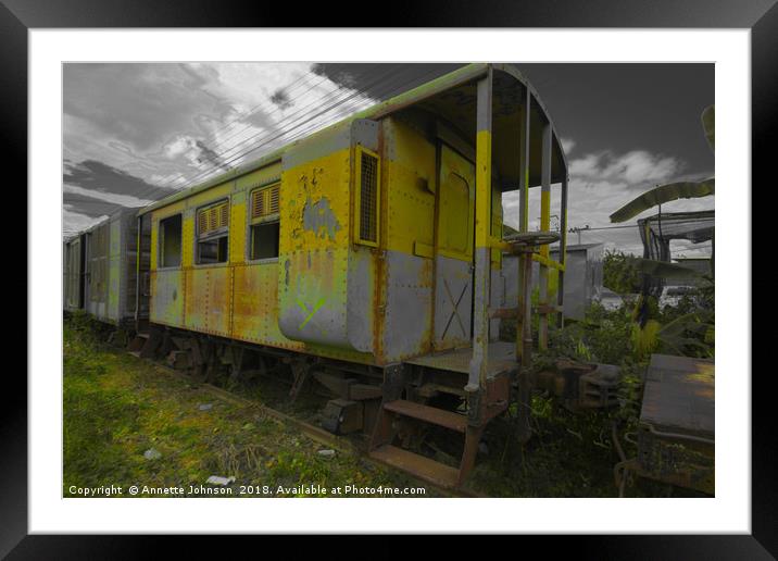 Abandoned Trains #1 Framed Mounted Print by Annette Johnson